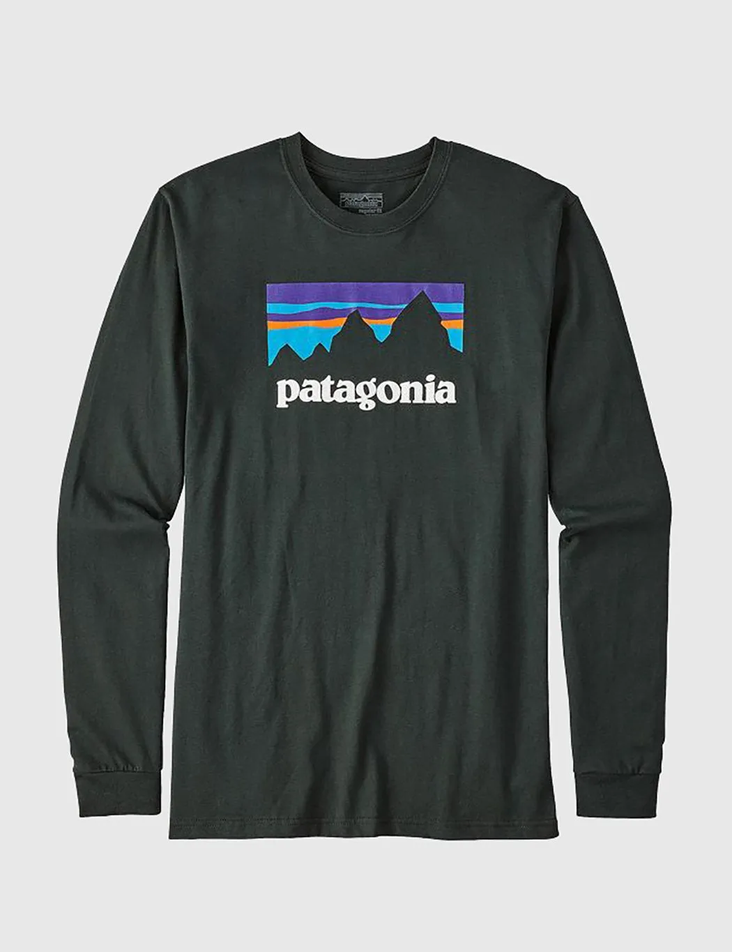 Patagonia Shop Sticker Long Sleeve T-Shirt - Carbon Green